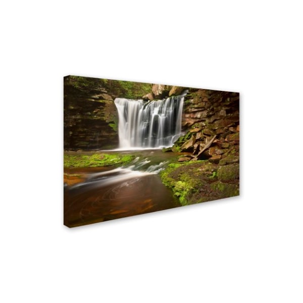 Michael Blanchette Photography 'Elakala Falls' Canvas Art,22x32